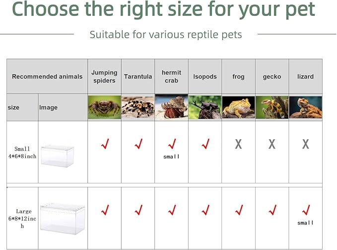 12x8x6 Inch Terrarium with Magnetic Top Sliding Lid, Clear View Critter Keeper & Spider Enclosure, Jumping Spider/Tarantula Habitat, Hermit Crab Tank, Tadpole to Frog Kit