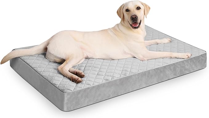 NUPIDA Orthopedic Dog Beds for Extra Large Dogs Waterproof with Removable Washable Cover and Non-Slip Bottom, 47x29 Inch, Light Gray