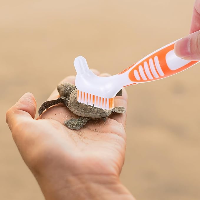 SUPVOX Turtle Shell Brush Double-Sided Dirt Remover for Aquatic and Land Turtles, Orange Mini Brush for Shell Mud and Removal, Household Reptile Health Care Tool