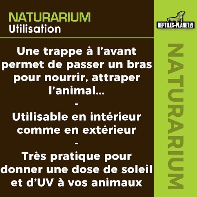 Reptiles-Planet Naturarium Terrarium, Medium, 75 x 45 x 75 cm