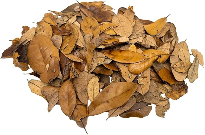XYZReptiles Premium Live Oak Leaf Litter Isopod Substrate Terrarium Bedding (1/2 Gallon)