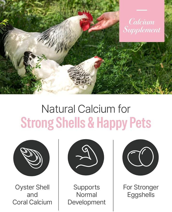 NICE WITCH'S Oyster Shell Flour 1.1 lb (500 g) – Finely Ground Calcium for Chickens, Ducks, Birds, Reptiles, Amphibians & More – Natural Source of Calcium | Korean Oyster Shell Powder/굴껍질 가루