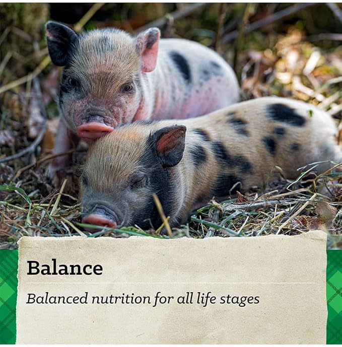 Nutrena Country Feeds Mini Pig Feed 16% Pellet 50 Pounds