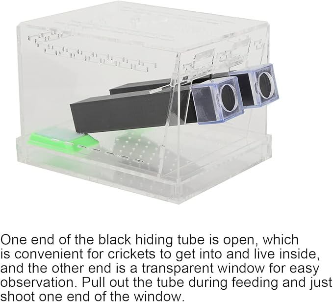 Cricket Keeper with Tubes, Easy to Equipped with Water/Food Feeding Tub Cricket Care Kit for Home for Office(L)