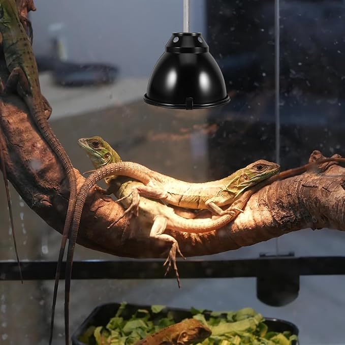 Reptile Heat Lamp Cover Anti-Scald Dome Light Guard Aluminum Heat Lamp Protector for Turtle Lizard Snake Breeding Boxes with Mesh Cover