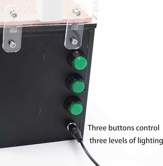 Ant Farm for Live Ants with Inner Lights - Large Viewing Area - Natural Learning Toy - Great Gift