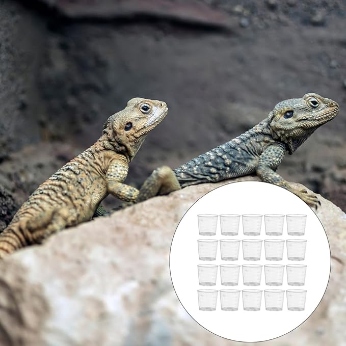 VICASKY 30pcs Reptile Food Measuring Cups Set 20ml Reusable Plastic Feeding Bowls for Gecko Lizard Crawling Pets Terrarium Use