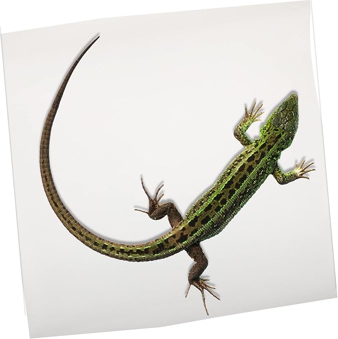 Totority Crested Gecko Tank Accessories Reptile Carpet Bearded Dragon Substrate Tortoise Bedding Lizard Tank Bedding Mat Portable Reptile Terrarium Carpet