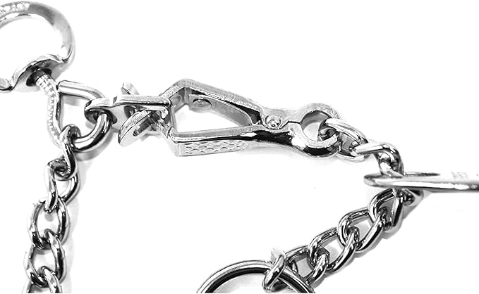 Herm Sprenger Chrome Plated Steel Training Prong Collar with Quick Release Snap for Dogs (23in (58cm) x 3.2mm)