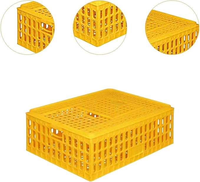 Chicken Carrier Box for Safe Transport of Hens and Pigeons, 75x55x19cm