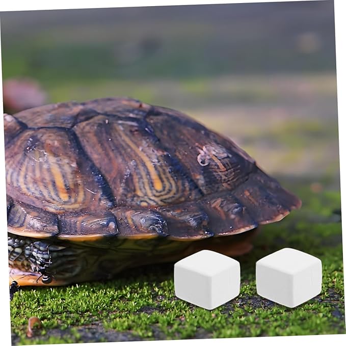 MERRYHAPY 12pcs Reptile for Habitat Natural for Pet Immune System Durable Prevents Destructive Chewing Suitable for Various Reptiles and Pets