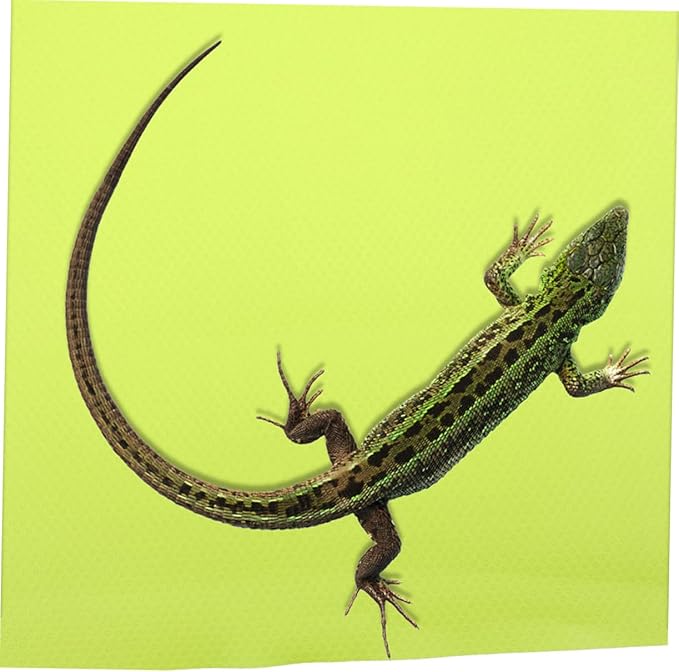 Reptile Carpet Terrarium Liner Durable Substrate Mat for Bearded Dragons Leopard Geckos Other Reptiles Non Slip Design for Easy Cleaning