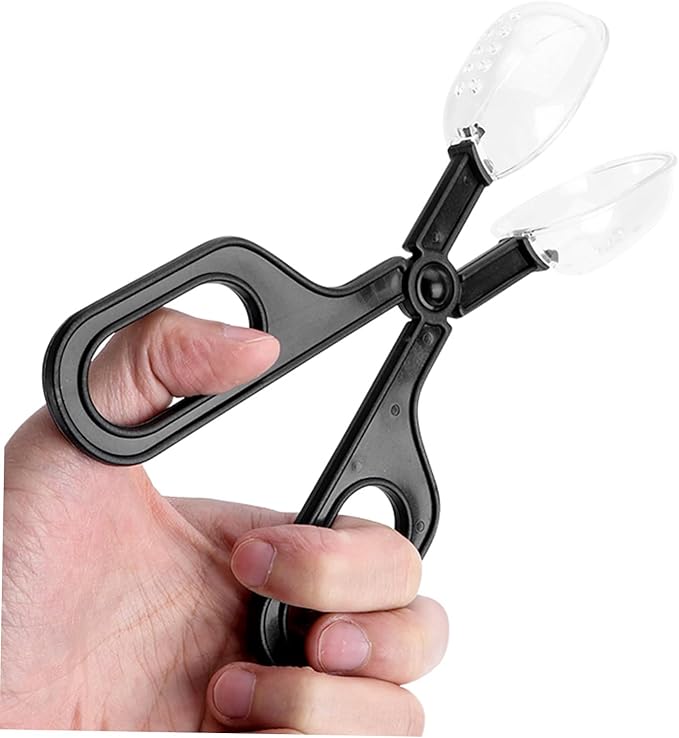 Totority 3pcs Reptile Feeding Clip Abs Material Tortoise Habitat Accessories Reptile Cleaning Supplies