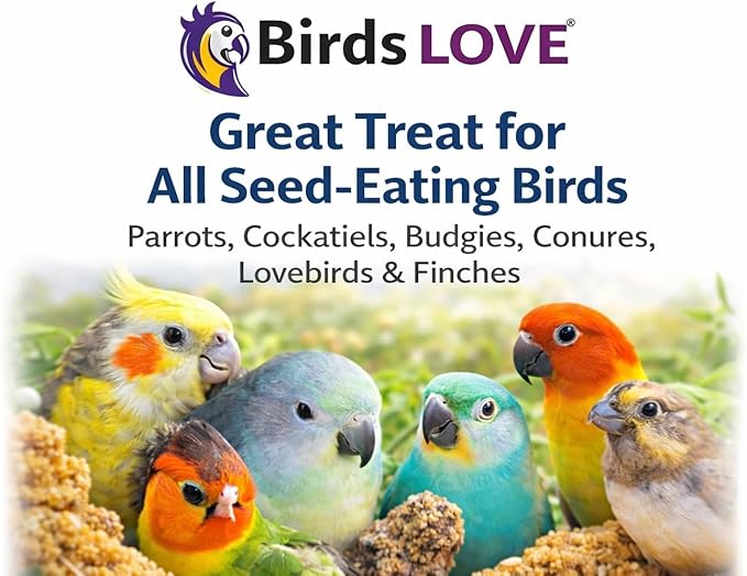 5lbs Wholesome Spray Millet for Birds – USA Grown, Harvested & Packed – 100% Natural Sun-Dried Millet Clusters – for Parakeets, Cockatiels, Conures, Budgies, Finches & All Parrots