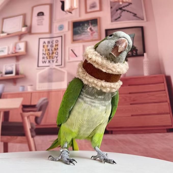 Pet Parrot Anti-Bite Elizabethan Collar, Neck Shield Anti-Grab Feather Plucking Wound Healing Safety Recovery Collar Cones for Budgerigar Lovebird Random Color (L)