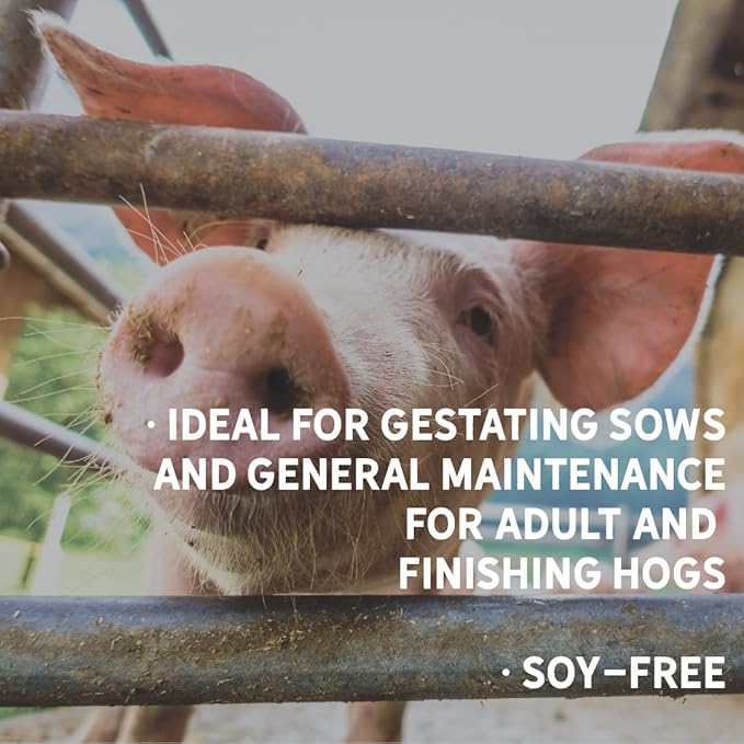 New Country Organics | Swine 12% Protein Feed for Gestating Sows and for General Maintenance of Adult and Finishing Hogs | Soy-Free | Certified Organic and Non-GMO | 40 lbs