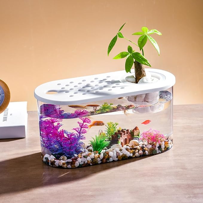 Small Turtle Tank with Basking Platform, Decor Stones and Water Grass, Aquarium Habitat with Plant Holder