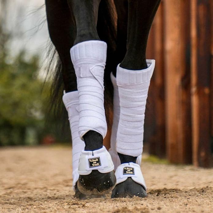 Back on Track mens Performance Equine Durable Rubber Horse Protective Pair of Hoof Bell Boots With Loop Closure