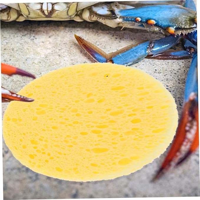 Mipcase 50pcs Crab Humidity Sponges Pet Crab Sponges Aquarium Supplies for Bathing Dish Cleaning