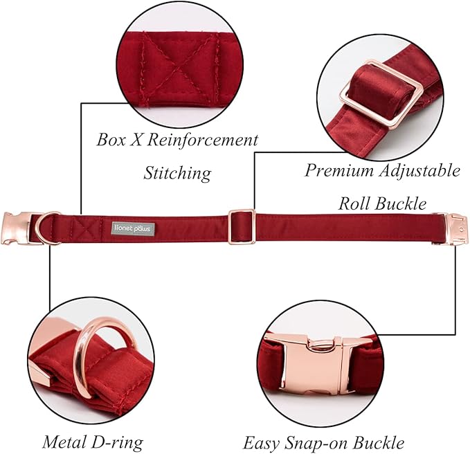 Lionet Paws Bowtie Dog Collar - Comfortable Silk Dog Collar with Detachable Bow Tie for Puppy and Cat, Neck 8-12 Inches