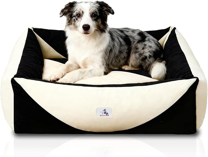 290 GSM Cotton Canvas Dog Couch Bed, Washable Removable Cover, Tough Bolster with Supportive Chopped Foam, Anti-Slip Bottom (Medium)