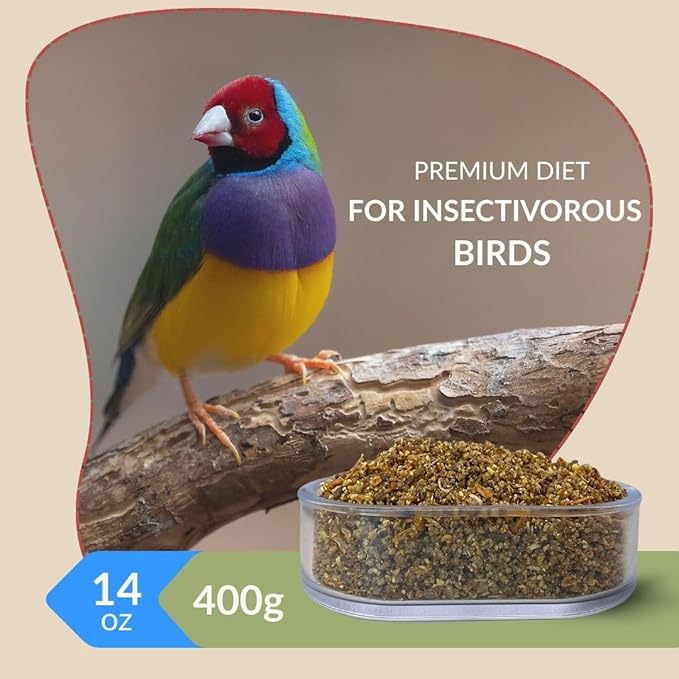 Raff Patee with Insects 400g – Fruit and Berries Soft Food for Canaries, Finches, and Exotic Birds - High Protein Breeding and Molting Diet – Easy to Digest and Versatile Use