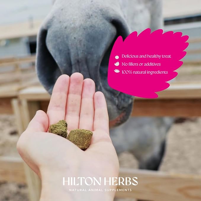 Hilton Herbs Herballs, Green, 4.4lb Bag