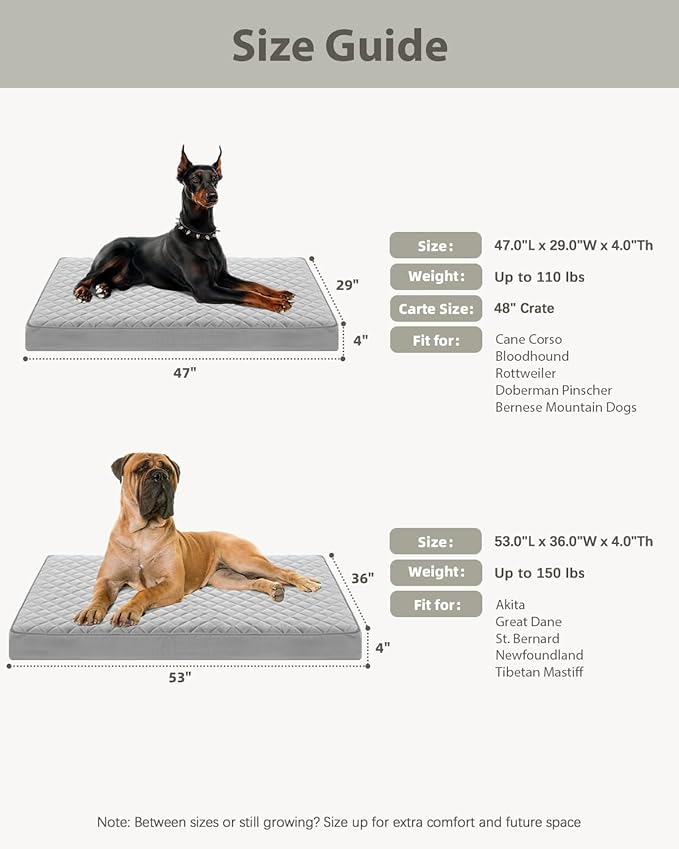 NUPIDA Orthopedic Dog Beds for Extra Large Dogs Waterproof with Removable Washable Cover and Non-Slip Bottom, 47x29 Inch, Light Gray