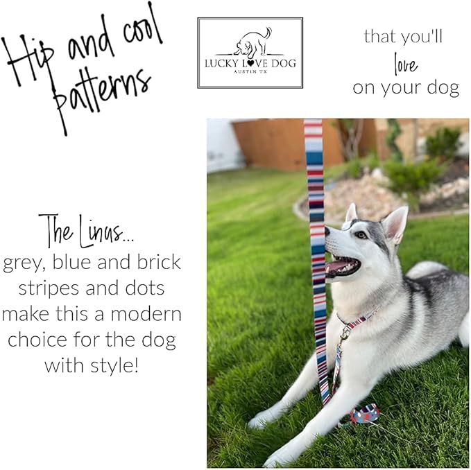 Lucky Love Dog - Adjustable Dog Collar and Leash Set with Easy Click Buckle for Small Dogs, Durable, & Comfortable Collar for Male & Female Dogs, Puppies & Adult Ones - Linus Combo, XS
