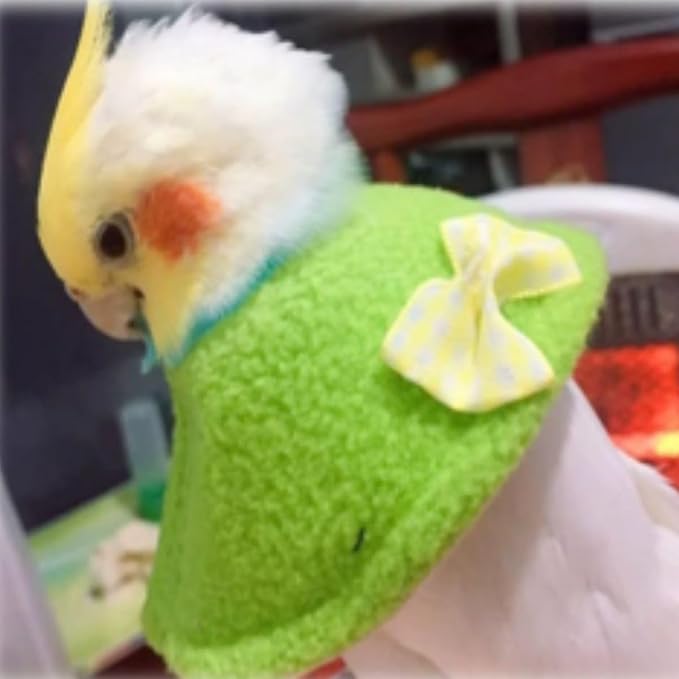 4 Pcs Bird Cone Collar Pet Anti-bite Elizabethan Collar Parrot Recovery Protective Cones for Budgerigar Cockatiel Lovebirds Cockatoo Parrots African Grey Macaw (XL)