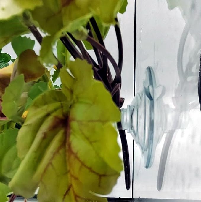 2 Pack Reptile Plants for Terrarium, Amphibian Habitat Decor Artificial Hanging Plants with Suction Cup, Gecko Chameleon Snake Tortoise Tank Accessories-Fake Heuchera Micrantha Yellow