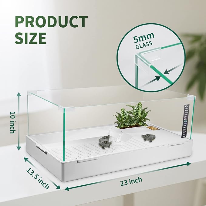Scratch-Resistant Glass Turtle Tank (15.7×11.8×10 Inch) with Water Filter - Durable Reptile Habitat for Aquatic/Terrestrial Pets, Baby Turtles & Fish | Anti-Scratch Clear Terrarium Aquarium Combo