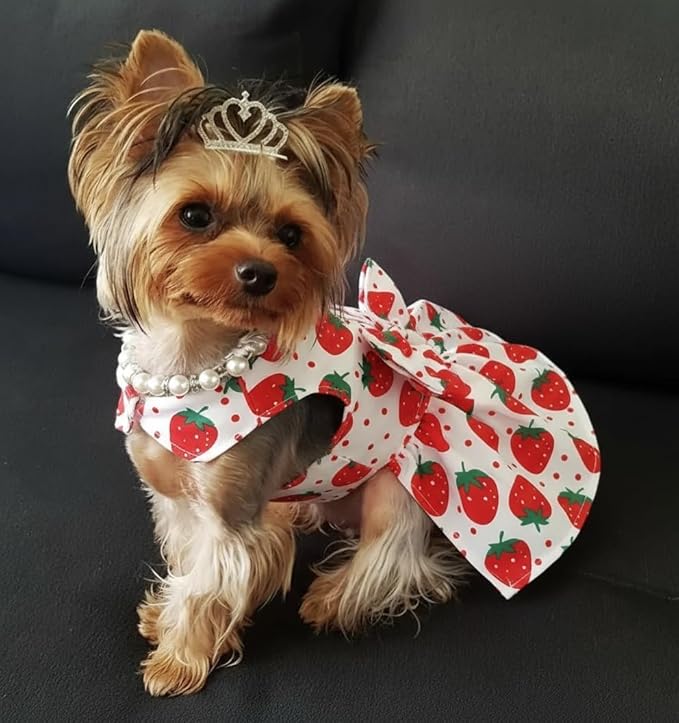 Dog Dress Bowknot Harness Leash Set for Small Dogs Red Strawberry Dog Cat Clothes Cute Puppy Outfits Pet Clothes Spring Summer Breathable Dresses(Samll)