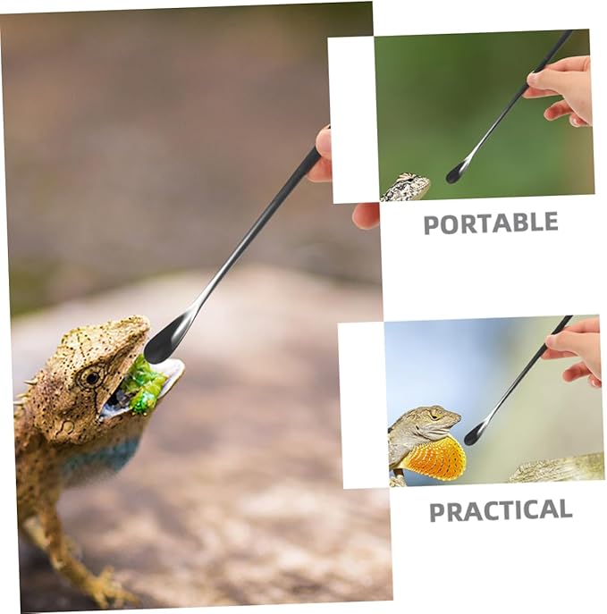 BESPORTBLE 3Pcs Reptile Food Spoon Set for Small Animals Portable Lizard Food Scoop Adjustable Feeding Tools for Bearded Dragons and Other Pets