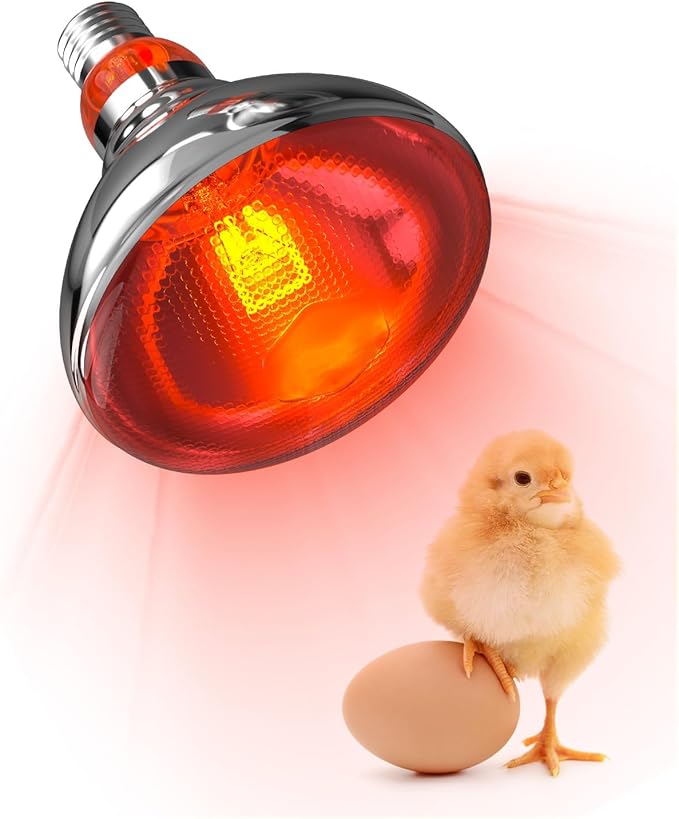 Heat Lamp Bulbs for Chickens Coop Brooder,150 Watt Reptile Heat Lamp Bulb Infrared Red Light for Chicks,Birds,Ducks,Dogs,Cats (Heating Lamp Not Included)-ONLY Sold Official