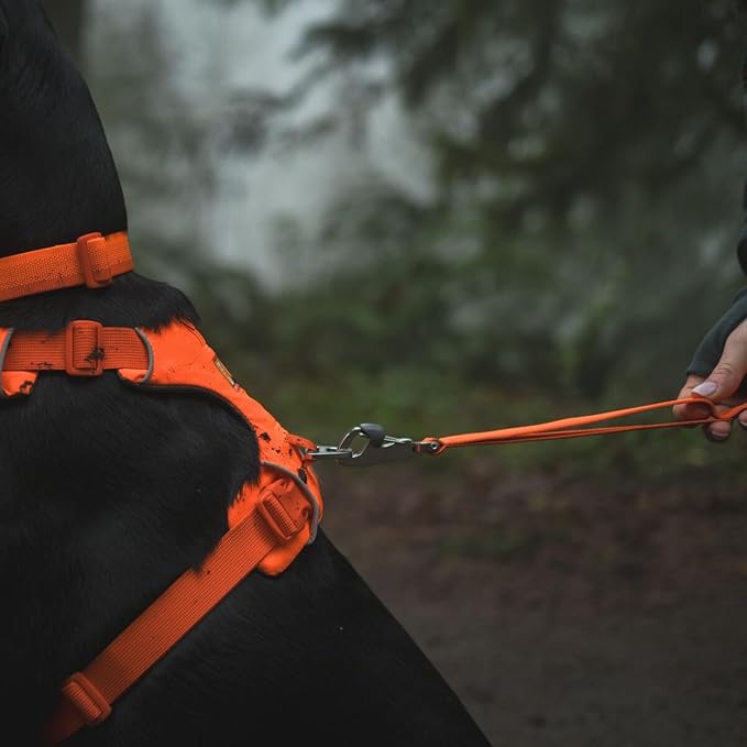 Ruffwear, Front Range Dog Leash, 5 ft Lead with Padded Handle for Everyday Walking, Blaze Orange