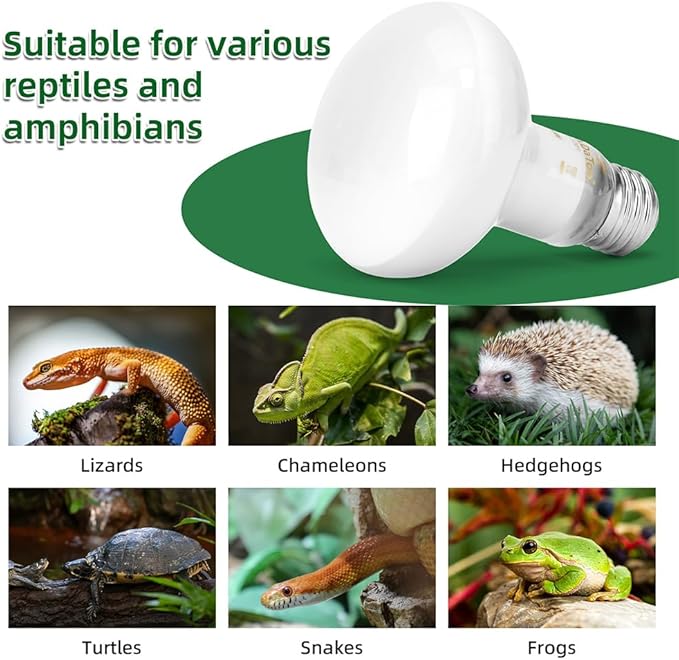 DaToo Reptile Heat Lamp 100W Amphibians Basking Light Bulb UVA Heat Lamp Bulbs Daylight Basking Spot Light for Lizards Bearded Dragon Turtles Snakes Chickens Pet Brooder (2 Pack)