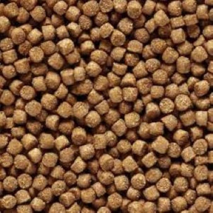 America's Best Koi Food Large Floating Pond Pellets 20 lbs Koi Fish Food 32% Premium Protein Year Round Maintenance Diet