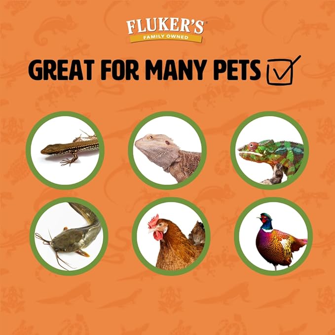 Fluker's Live Superworms, 250 Count Insects for Reptiles, Chickens, and Birds, Large (Approx. 1.5-2")