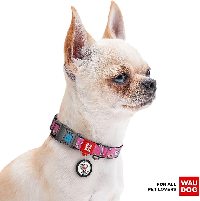 Nylon Dog Collar and Leash Set - Adjustable Dog Collar for Large Dogs, Small & Medium Dogs - Puppy Collars for Large Breed - Boy & Girl Collars with Durable Plastic Buckle and QR Tag