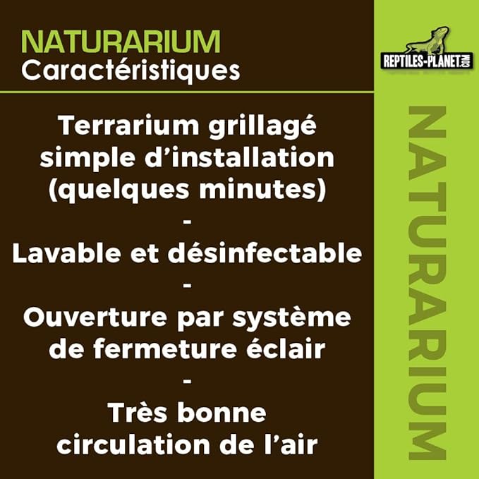 Reptiles-Planet Naturarium Terrarium, Medium, 75 x 45 x 75 cm