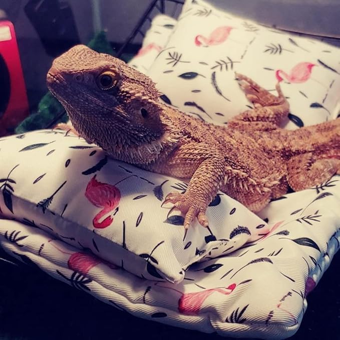 Bearded Dragon Hammock Lizard Hammock Reptile Bed with Pillow Lizard Habitat Soft and Warm Small Animal Sleeping Bag Set…