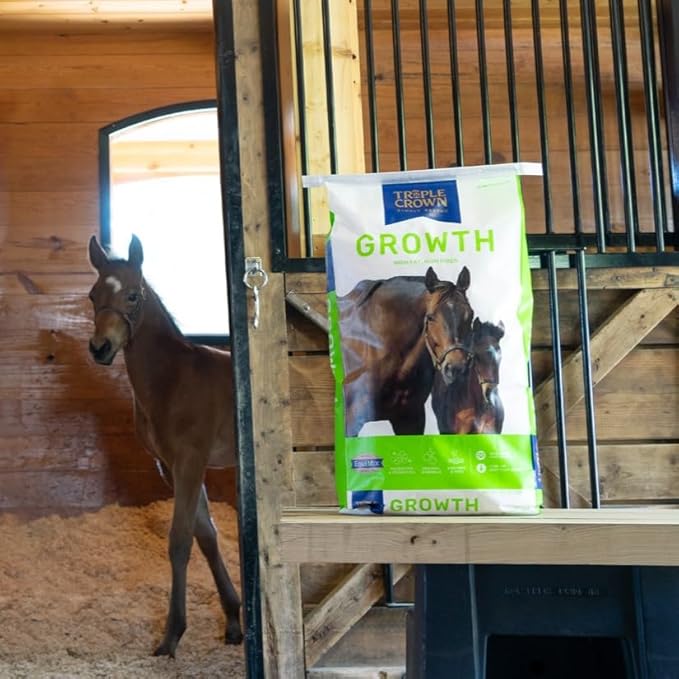 Triple Crown Growth Foal & Mare Feed, Textured Feed for Young Horses, Broodmares & Breeding Stallions, Horse Feed, 50 lbs