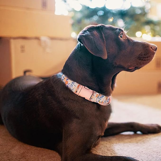 Dog Collar and Leash Set Girls Adjustable Puppy Collars with Floral Bow Tie for Small Medium Large Female Dogs, Orange Flower, L