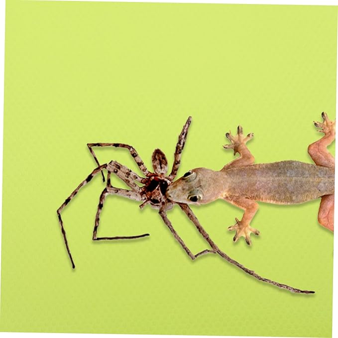 Happyyami 200m Crested Gecko Tank Accessories Reptile Carpet Mat for Bearded Dragon Snake Lizard Tortoise Terrarium Liner