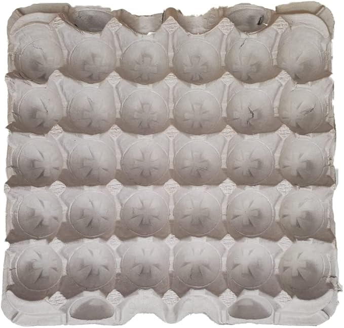 Dubia Roach Colony Starter Kit, 1Lb Organic Feeder Insect Gut Loading Chow, Water Crystals, 6 Egg Flats, for Breeding Insects, Cricket Alternative, for Bearded Dragons, Leopard Geckos, Reptiles