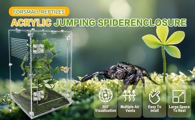 Jumping Spider Enclosure, Tarantula Enclosure with Front Opening Door, Reptile Enclosure Suitable for mantises, Spiders, Lizards, Frogs and Insects. (6x6x10 Inch, Assemble)