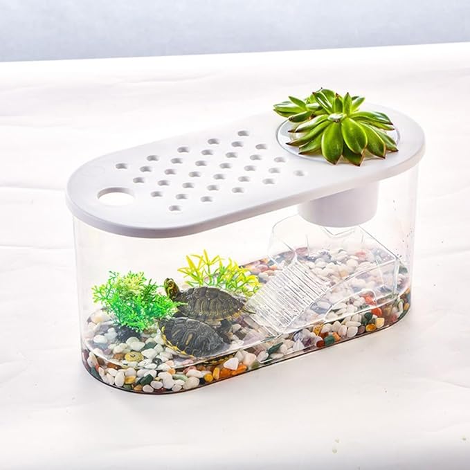 Small Turtle Tank with Basking Platform, Decor Stones and Water Grass, Aquarium Habitat with Plant Holder
