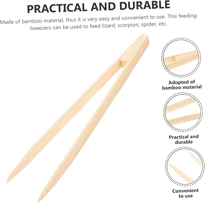 BESPORTBLE Reptile Feeding Tweezers Lightweight Bamboo Feeding Tool for Lizards Tortoises and Frogs Safe Non-deformable Design for Easy Use and Long-Term Care