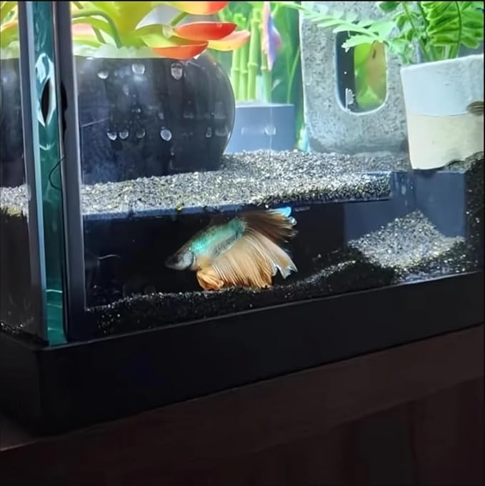 Aquarium Decoration, Axolotl Hide Corner Fish Tunnel, Cave for Fish, Loach, Pleco, Snake, Terrarium